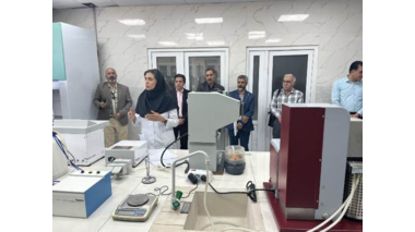 از شناسایی تا کنترل؛ جدیدترین راهکارهای مدیریت سن گندم بررسی شد