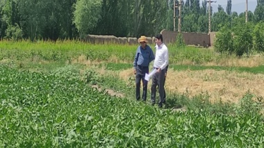 بازدید رئیس بخش تحقیقات چغندر قند مرکز تحقیقات کشاورزی آذربایجان غربی از ایستگاه تحقیقات کشاورزی خوی