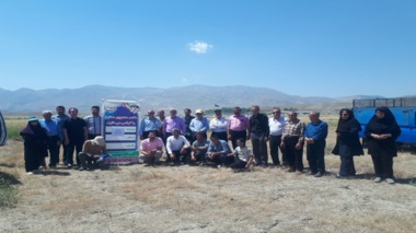 برگزاری کارگاه ترویجی مدیریت مزارع گندم در شهرستان ماکو