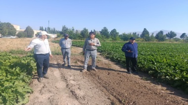 بازدید رئیس مرکز تحقیقات و آموزش کشاورزی و منابع طبیعی آذربایجان غربی از ایستگاه تحقیقات کشاورزی شهرستان خوی