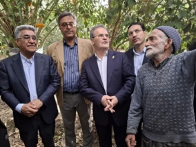 تعامل مستقیم معاون وزیر و رئیس سازمان تات  با کشاورزان استان جنوب کرمان