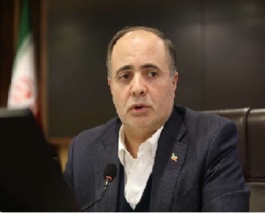 قیمت‌گذاری گندم باید منصفانه و در راستای حمایت از تولید داخلی باشد