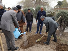 غرس ۱۶۸ نهال به یاد شهدای دانش آموز دبستان شجره طیبه میناب