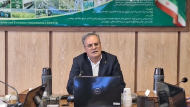 برگزاری دویست‌وهشتاد و یکمین جلسه هیات ممیزه سازمان تات