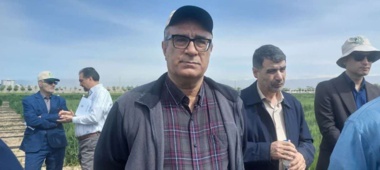 ۹۹ درصد ارقام غلات مصرفی کشاورزان در تحقیقات «تات» معرفی شد