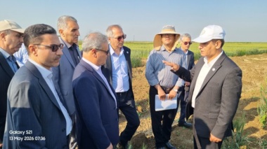 گزارش تصویری/بازدید از ایستگاه تحقیقات کشاورزی مغان، در جریان بیست‌ و یکمین سفر استانی معاون وزیر جهاد کشاورزی و رئیس سازمان تات