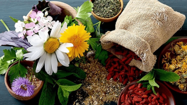 پژوهشگر تات از ثبت یک گنجینه سبز خبر داد؛پژوهشگران تات ۸۰۰ گونه گیاه دارویی را مستندسازی کردند