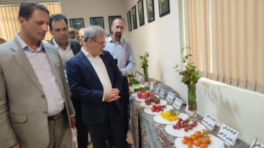 دستاورد راهبردی تات برای تقویت امنیت غذایی به بخش تولید منتقل شد