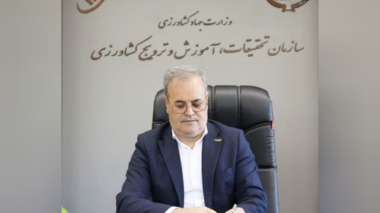پیام تبریک معاون وزیر و رئیس سازمان تحقیقات، آموزش و ترویج کشاورزی به مناسبت هفته دولت