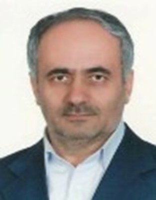 مهندس موسی برزگری