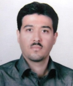 آقای مهندس علیرضا برسلانی