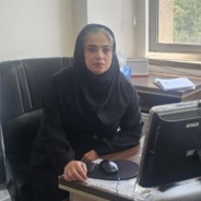 پریسا پژنگ