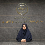 خانم مهندس خدیجه غلامپور آهنگرکلایی