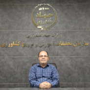 آقای مهندس مرتضی حسنی