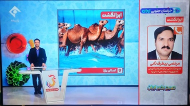 فناوری در خدمت دامپروری با سامانه ساربانیار