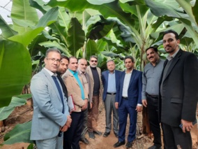 امکان سنجی راه اندازی اولین هنرستان جوار صنعت گلخانه در یزد