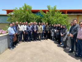 بازدید و پایش مزارع گندم دیم شهرستان‌ ابهر