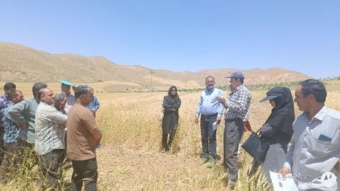 برگزاری روز مزرعه در پایگاه نوآوری حلب ایجرود