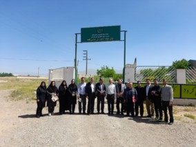 بازدید از طرح تحقیقی-ترویجی و PVS ارقام و لاین‌های امیدبخش گندم آبی