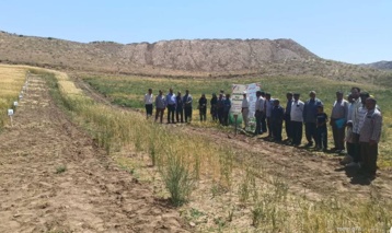 برگزاری روز مزرعه در پایگاه نوآوری حلب ایجرود