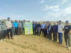 برگزاری روز مزرعه عدس دیم در روستای نصرت آباد خدابنده