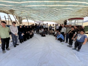 برنامه روز مزرعه محصولات تناوبی طرح جهش تولید در دیمزارها برگزار شد