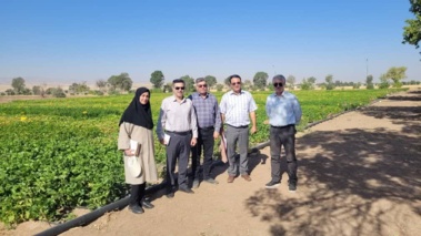بازدید از طرح های پژوهشی حبوبات