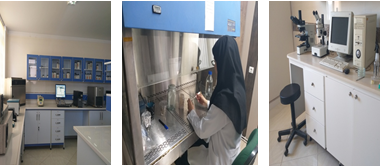 آزمایشگاه گیاهپزشکی